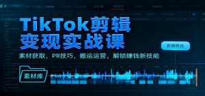 TikTok剪辑变现实战课:素材获取,PR技巧,搬运运营,解锁赚钱新技能-网创资源站