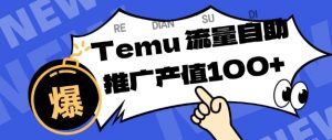 专注于Temu商家提供精准曝光浏览量，助力店铺排名提升和转化，单机日收入80-130【揭秘】-网创资源站