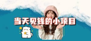 当天能收益的3个小项目拆解_包括平台+操作流程-网创资源站
