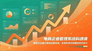 电商企业管理系统构建课：帮助企业建立高效运营系统，实现利润与规模的同步跃升-网创资源站