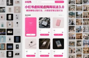 小红书虚拟矩阵玩法3.0，铺货铺笔记型打法，少款狂怼笔记型打法-网创资源站