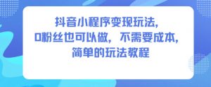 抖音小程序变现玩法,0粉丝也可以做,不需要成本,简单的玩法教程-网创资源站