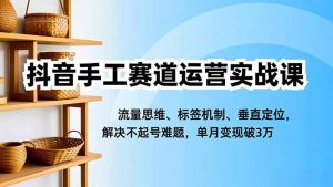 抖音手工赛道运营实战课,流量思维、标签机制、垂直定位,解决不起号难题,单月变现破3万-网创资源站