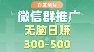 首发项目，微信群推广掘金，多号矩阵无脑日入3-5张【揭秘】-网创资源站