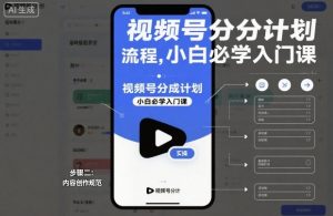 视频号分成计划实操流程,小白必学入门课-网创资源站