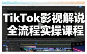 TikTok影视解说全流程实操，手把手教你打造TK爆款解说视频-网创资源站