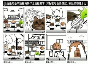 卤蛋哈基米短视频制作全流程教学，条条爆款，疯狂吸粉几十万-网创资源站