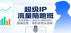 超级IP流量陪跑班：账号搭建+人设定位+爆款创作+直播运营，涨粉变现全流程-网创资源站