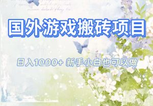 国外游戏全自动搬砖项目，日入10张，新手小白也可做，项目红利期，先搞先吃肉【揭秘】-网创资源站