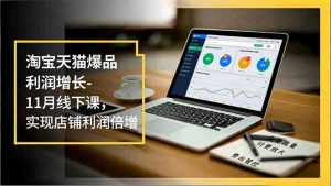 淘宝天猫爆品利润增长-11月线下课，免费流量、付费放大、费比管控，实现店铺利润倍增-网创资源站