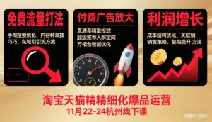 淘宝天猫精细化爆品运营11月22-24杭州线下课，免费流量打法+付费广告放大+利润增长(音频+文档)-网创资源站