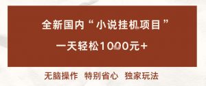 全新国内小说挂G项目，多窗口无脑跑，一天轻松1k+，特别省心【揭秘】-网创资源站