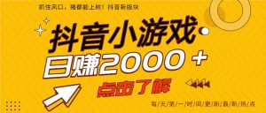2025年爆火的抖音小游戏项目，一部手机日入2000+-网创资源站