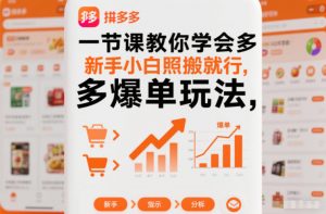 一节课教你学会拼多多爆单玩法，新手小白照搬就行-网创资源站