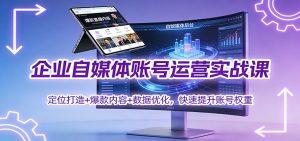 企业自媒体账号运营实战课：定位打造+ 爆款内容+数据优化，快速提升账号权重-网创资源站