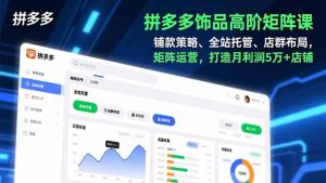 拼多多饰品高阶矩阵课,铺款策略、全站托管、店群布局,矩阵运营,打造月利润5万+店铺-网创资源站