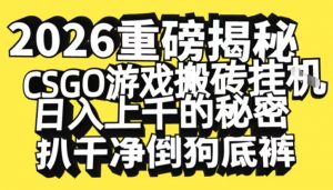 2026开年重磅解密，CSGO游戏搬砖挂G日入1k+的秘密，把倒狗的底裤扒干【揭秘】-网创资源站