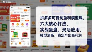 拼多多可复制盈利模型课，六大核心打法、实战复盘、灵活应用，模型清晰，稳定产出高利润-网创资源站