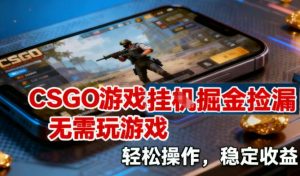 CSGO游戏挂G掘金捡漏，不需要玩游戏，操作简单，收益稳定【揭秘】-网创资源站