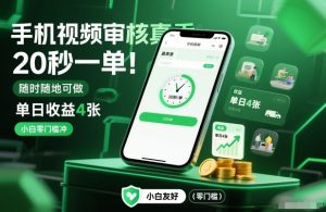 手机视频审核真香！20秒一单，随时随地可做，单日收益4张，小白零门槛冲【揭秘】-网创资源站