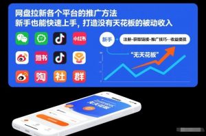 网盘拉新各个平台的推广方法，新手也能快速上手，打造没有天花板的被动收入-网创资源站