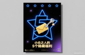 付费文章：小众之人的5个隐藏福利-网创资源站