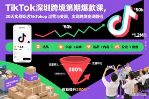 TikTok深圳跨境第2期爆款课,20天实战吃透TikTok Shop运营与变现,实现跨境变现翻倍-网创资源站