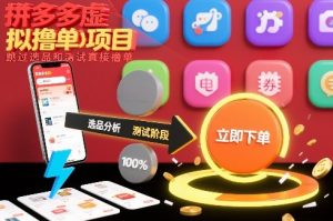 拼多多虚拟撸单项目,跳过选品和测试直接撸单-网创资源站