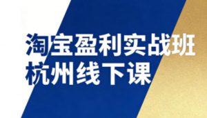 淘宝盈利实战班杭州线下课12月26-28日(音频+字幕)，帮你掌握SOP流程+12门核心技术-网创资源站