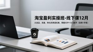 淘宝盈利实操班-线下课12月,从选品、流量、转化到渠道拓展,掌握SOP+12门技术(音频+字幕-网创资源站