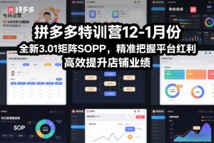 拼多多特训营12-1月份，全新3.01矩阵Sop，精准把握平台红利，高效提升店铺业绩-网创资源站