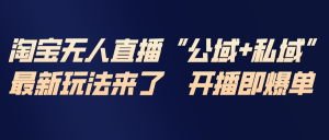 淘宝无人直播最新玩法，包含私域和公域两种玩法-网创资源站