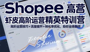 Shopee虾皮高阶运营精英特训营，高阶运营技巧+流量提升+转化率优化，助你业绩翻倍-网创资源站