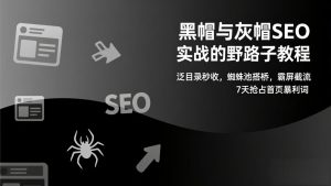 黑帽与灰帽SEO实战的野路子教程:泛目录秒收,蜘蛛池搭桥,霸屏截流,7天抢占首页暴利词-网创资源站