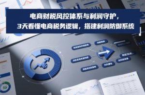 电商财税风控体系与利润守护,3天看懂电商税务逻辑,搭建利润防御系统-网创资源站