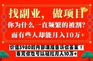 价值3980的网创内部课程,告诉你互联网创业月入10个W的秘密【揭秘】-网创资源站