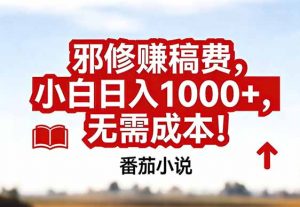 番茄小说赚稿费邪修玩法无需成本，真实日入1000+，超级简单！-网创资源站