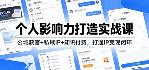 个人影响力打造实战课:公域获客+私域IP+知识付费,打通IP变现闭环-网创资源站