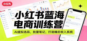 小红书蓝海电商训练营:AI虚拟选品,批量笔记,打造睡后收入系统-网创资源站