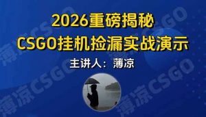 CSGO游戏挂机游戏搬砖最新升级,普通小白一部手机可日入300+当天见结果,支持验证-网创资源站