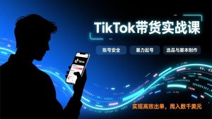 TikTok带货实战课，涵盖账号安全、暴力起号、选品与脚本制作，实现高效出单，周入数千美元-网创资源站