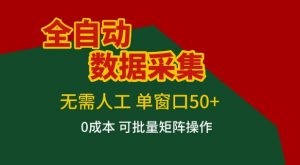 全自动数据采集项目,无需人工,单窗口可达50+收益,操作简单无难度,一个人也能轻松实现矩阵【揭秘】-网创资源站