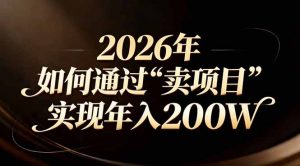 站在2026年的十字路口:一个普通人如何通过卖项目实现年入200万-网创资源站