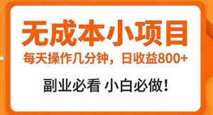 无成本小项目 每天操作几分钟，真实日收益800+ 副业必看 小白必做！-网创资源站