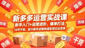 拼多多运营实战课，新手入门+运营进阶、爆单打法，16节干货，助力新手店铺快速实现日出百单-网创资源站