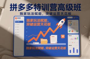 拼多多特训营高阶班，独家玩法赋能，突破运营天花板(更新26年2月)-网创资源站