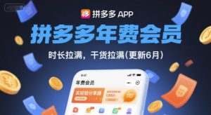 拼多多年费会员，实经验分享操，时长拉满，干货拉满(更新26年2月)-网创资源站