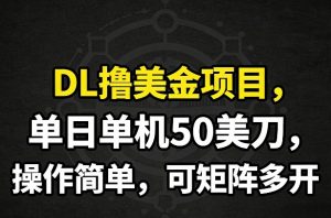 DL撸美金项目，单日单机50美刀，操作简单，可矩阵多开-网创资源站