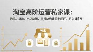 淘宝高阶运营私家课：选品、爆款、全店动销，三模块构建盈利闭环，月入破5万(更新26年2月-网创资源站