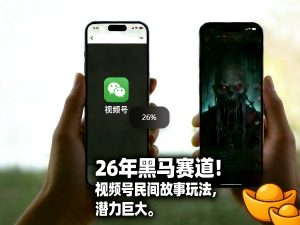 26年黑马赛道，视频号民间故事类玩法，潜力巨大，每日收益超5张-网创资源站